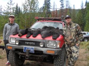 <p>Bear double</p>